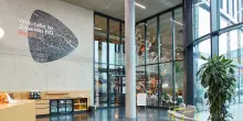 Zalando cresce nel secondo trimestre 2025, ricavi a 2,8 miliardi di euro (+7,3%)