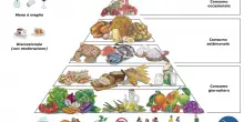 Vino: meno è meglio. Proteine, più sane quelle vegetali. La nuova piramide mediterranea