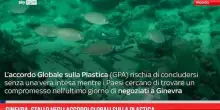 Ginevra, stallo negli accordi globali sulla plastica