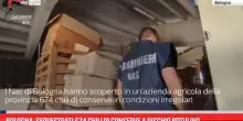 Bologna, sequestrati 674 chili di conserve: rischio botulino