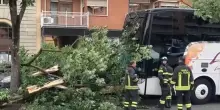 Torino, bus con scolaresca finisce contro un albero: 5 feriti