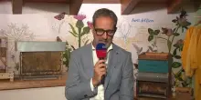 Bologna, ufficiale l'arrivo dal Cagliari di Nadir Zortea