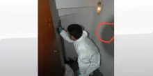Delitto Garlasco, difesa Stasi: sudore e sangue impronta 33