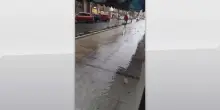 Maltempo Versilia, crolli e allagamenti a Viareggio