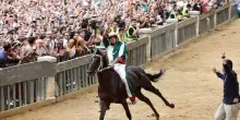 Siena, Palio di Provenzano 2025: vince la contrada dell’Oca