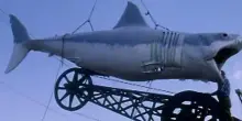 Jaws @ 50, il documentario sul film Lo Squalo di Steven Spielberg