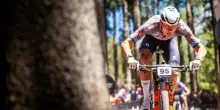 Van der Poel, frattura allo scafoide dopo la caduta in Mountain Bike