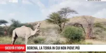 Borena, la terra senza più acqua