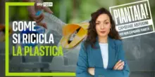 Come si ricicla la plastica