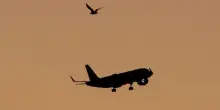 Collisione con gabbiani, rientra a Palermo volo Ita per Linate
