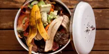 Giornata mondiale dello spreco alimentare: i numeri dell'Italia