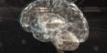 Troppo lavoro danneggia il cervello? Cosa dice uno studio