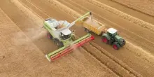 Ddl ColtivaItalia, in arrivo 1 miliardo per agricoltura: cosa prevede