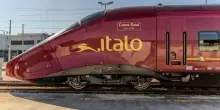 Italo e Empethy, la sinergia continua: 120 cani e gatti cercano casa