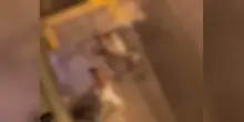 Picchiano un disabile a Sanremo, arrestati tre giovani
