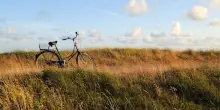 Giornata mondiale della bicicletta, i migliori percorsi cicloturistici