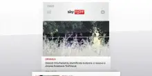 I titoli di Sky TG24 del 19 giugno: edizione delle 19