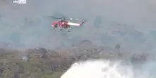 Vesuvio, continua spegnimento: fiamme anche nella riserva