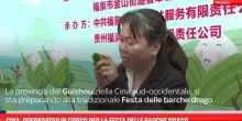 Cina, preparativi in corso per la Festa delle barche drago