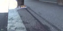 Bologna, fuga da polizia e schianto, parlano amici