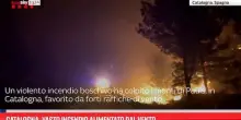 Catalogna, vasto incendio alimentato dal vento