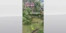 Maltempo Romagna, pini caduti a Milano Marittima
