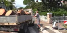 Milano Marittima, la ripartenza dopo devastazione alberi