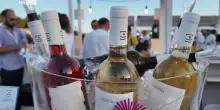 Calabria in Wine, una 3 giorni tra vino, storia e cultura