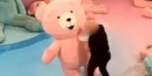 Vestita da orso alla mostra, presa a pugni da un visitatore