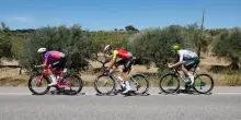 Vuelta, la 10^ tappa LIVE: altro arrivo in salita