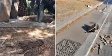 Roma, danneggiata la targa della lapide di Giacomo Matteotti. FOTO