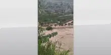 Alluvione in Cina, maiali trascinati dalle acque a Sichuan
