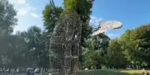 Balena di Angelucci incendiata alla Triennale di Milano