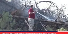Turchia, domati gravi incendi nel nord-ovest del paese