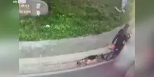 Napoli, dog sitter trascina cane in bici per 6 km: denuncia