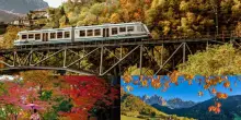 Foliage, dove ammirare i colori dell'autunno in Italia e nel mondo