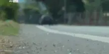 Circeo, tre giovani travolti da auto pirata: muore 16enne