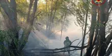 Incendi, Legambiente: in Italia bruciati 56.263 ettari, più del 2024
