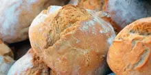 Guerra del pane in Svizzera, chiudono produttori e panetterie