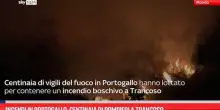Incendi in Portogallo, centinaia di pompieri a Trancoso