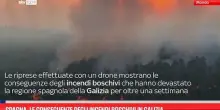 Spagna, le conseguenze degli incendi boschivi in Galizia
