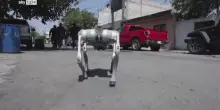 Waldog, il cane robot che insegna l'amore per gli animali