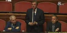 Senato, Calenda: relazione Meloni largamento condivisibile