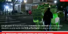 Usa, protestano a Portland contro l’ICE vestiti da animali