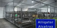 Due italiani detenuti nel centro migranti Alligator Alcatraz negli Usa