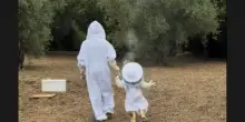 Video di Meghan Markle e della figlia Lilibet in versione apicoltrici