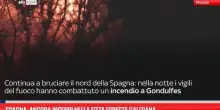 Spagna, ancora incendi nella fitta foresta galiziana