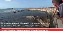 Balena spiaggiata alla Terrazza Mascagni