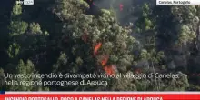 Incendio Portogallo, rogo a Canelas nella regione di Arouca