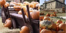Halloween, 8 campi di zucche in Lombardia da visitare con i bambini